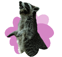 Bambi Tier Sticker by Druck und Werte Creatives