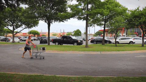 sovereigntyco giphyupload dream cart purpose GIF