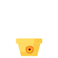 flower grow Sticker by Far East Flora