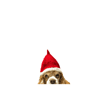 Dogs Love Sticker