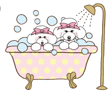 Charlotte Poodle Sticker