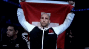volkan oezdemir ufc GIF