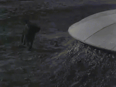 SpookyFlicks giphyupload scifi 1950s teenagers from outer space GIF