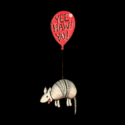 Limons_art texas yeehaw armadillo baloon GIF