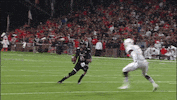 cincinnati bearcats football GIF by University of Cincinnati Athletics