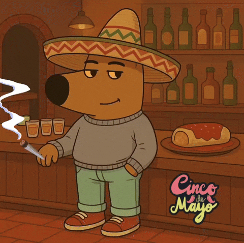 Happy Cinco De Mayo GIF by Kushy Dreams