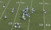 chris ivory day GIF