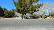 classic cars chevrolet GIF by Off The Jacks