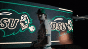GIF by NDSU Athletics