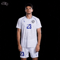 Fifa World Cup Afc GIF by Respective