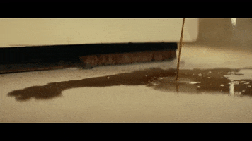 Time Machine GIF by Daisy The Great