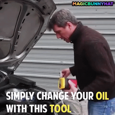 lolathebunny giphygifmaker GIF