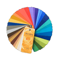 Color Palette Coloranalysis Sticker by Sanja Pandurov