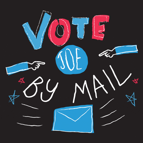 creative-courage trump 2020 vote election GIF