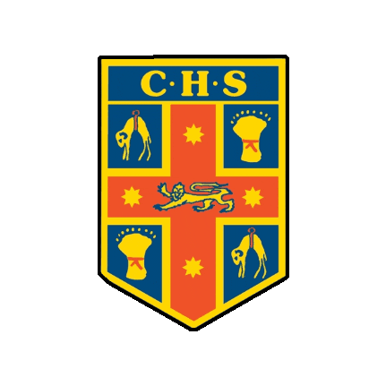Nyc Nsw Sticker by Touch Football Australia