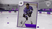 Hockey Arc GIF by All-Round Champion