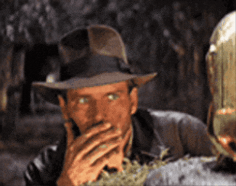 dushkebab giphygifmaker giphycreatortest indiana jones indianajones GIF