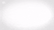 Oumar Solet GIF by FC Red Bull Salzburg