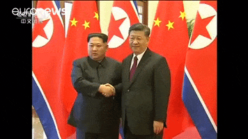Kim Jong-Un Handshake GIF by euronews