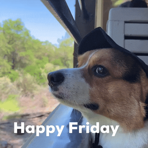 Its Friday Dog GIF