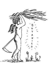 OldknowBevCo atlanta vodka gin seltzer Sticker