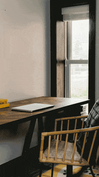 bloomscape  GIF