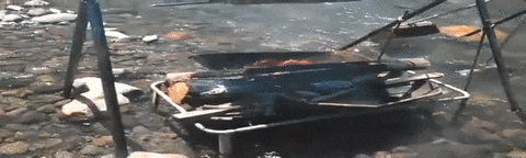 engineers campers GIF