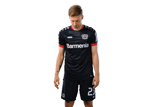 Bayer 04 Wtf Sticker by Bayer 04 Leverkusen