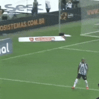 Galo GIF
