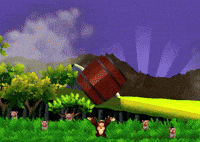 Donkey Kong Dk GIF