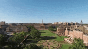 Green Grass Osu GIF by Oklahoma State University