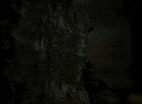 Film Wall GIF