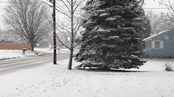 Snow Rapidly Covers Potsdam as Winter Storm Hits Upstate New York