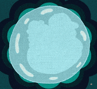 Shiba Inu Animation GIF by Florens Debora