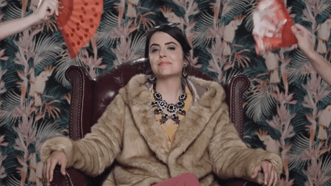 giphy.gif