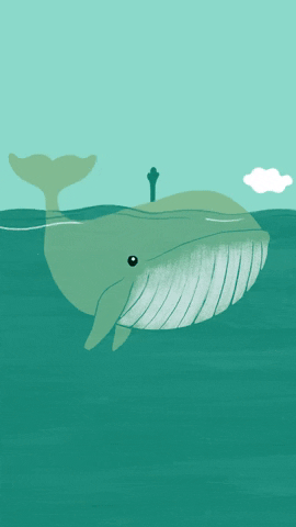 Blue Whale Water GIF by Australian Conservation Foundation