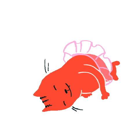 Katpatrick Doodlecat Sticker by Scribble Kids Books