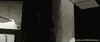 anya taylor-joy morgan GIF by #WhatIsMorgan