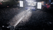 Happy Live Music GIF by Contrast Magazine