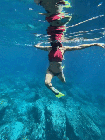 giuliasiegel underwater snorkeling drinkmorewater schnorcheln GIF