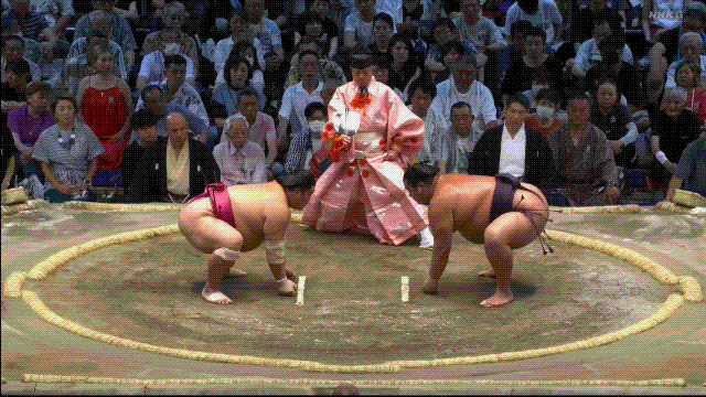 TZ85 giphyupload GIF