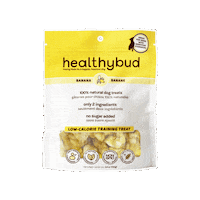 Banana Chips Bananas Sticker by healthybud