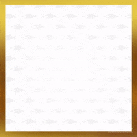 Party Community GIF by Staatsloterij