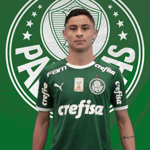 Palmeiras giphyupload soccer futebol hashtag GIF