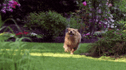 Summer Fun GIF by Hallmark Channel