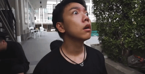 Sunbeary GIF