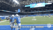 Detroit Lions Football GIF by NFL