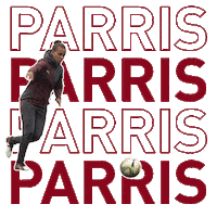 world cup football Sticker by PUMA