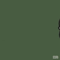 Taylor Swift Win GIF by Cool Cats