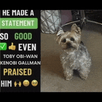 Toby GIF